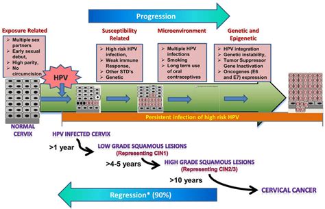 Hpv Cervical Cancer Treatment