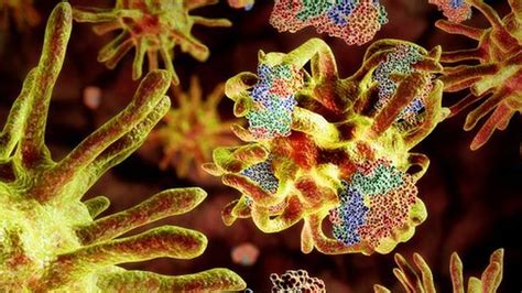 Urine test for CJD 'a possibility' - BBC News