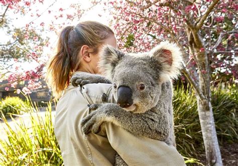 Zookeeper Career | Work with animals, Zoo keeper, Pet vet