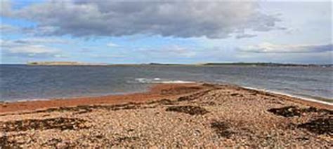 Chanonry Point Dolphins - Scotland Info Guide