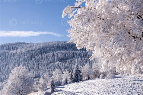 Winter in Poland 744259 Stock Photo at Vecteezy