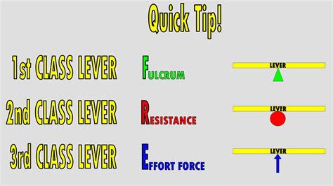 The 3 Classes of Levers – KinesiologyKris.com