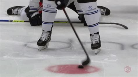 Stick Championsgobeyond GIF by Champions Hockey League - Find & Share ...