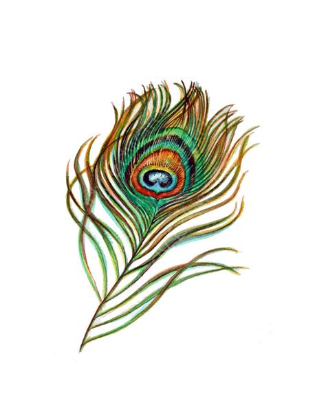 Peacock Feather Painting Original Watercolor