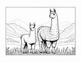 Free Llama Coloring Pages For Kids sketch template
