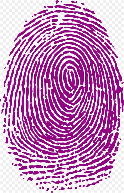 Fingerprint Forensic Science Analysis, PNG, 1207x1881px, Fingerprint, Analysis, Area, Crime ...