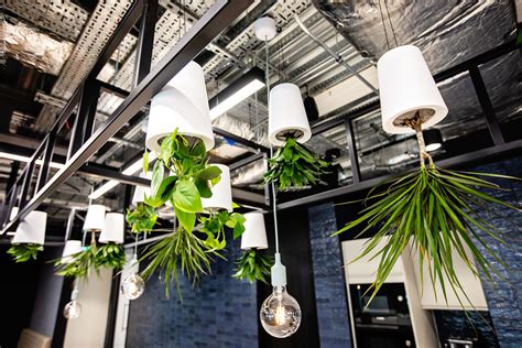 How can biophilic design be incorporated into the office? | Office Design | London