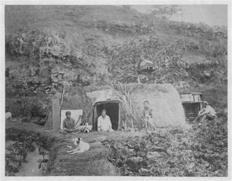 KAUAI HAWAII n. Poi Dog Now Extinct | Hawaii pictures, Hawaiian history, Vintage hawaii