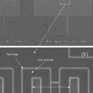 SEM images of (a) the final SAW device, for which the pattern has been ...