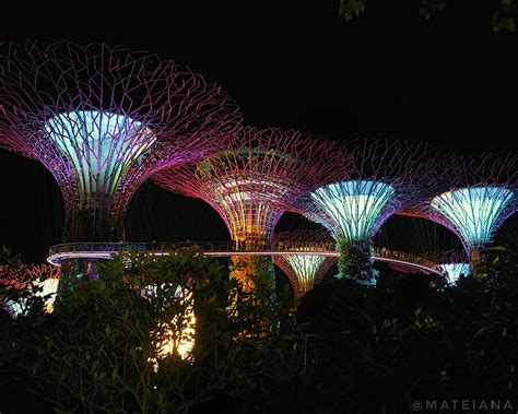 Goosebumps! 4 Amazing Light and Music Shows in Singapore - AM Journeys