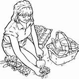 Desenho de Horta Com Vários Legumes Para Colorir  Tudodesenhos sketch template