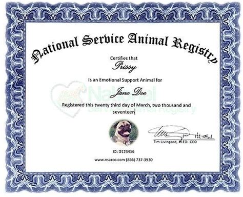 Emotional Support Animal Registration | lupon.gov.ph