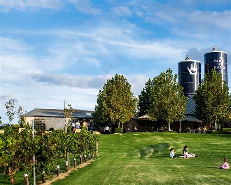 THE 10 BEST Adelaide Hills Wineries & Vineyards to Visit (2024)