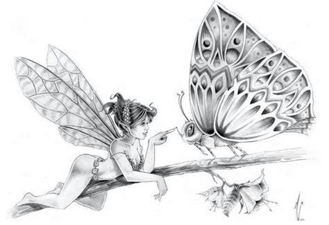 Fairy and the butterfly | Fairy drawings, Fairy artwork, Fairy coloring