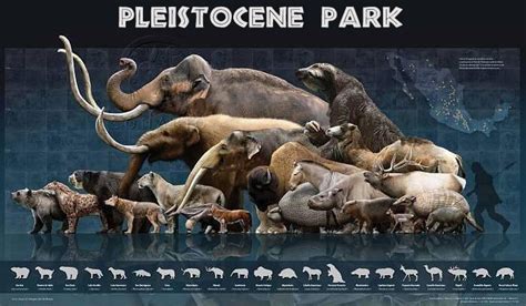 Pleistocene Park | Extinct animals, Prehistoric animals, Megafauna