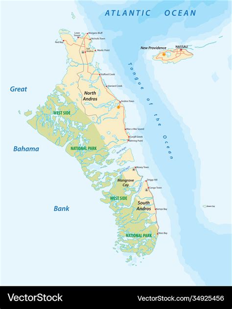 Map andros island and new providence bahamas Vector Image