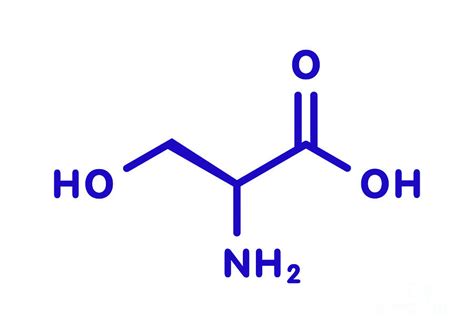 Serine Amino Acid Molecule Photograph by Molekuul/science Photo Library - Pixels