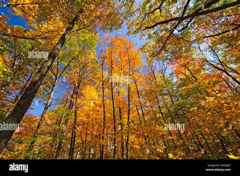 Indiana fall colors hi-res stock photography and images - Alamy