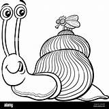 Black And White cartoon Illustration Of Snail fly Insect Animal  sketch template