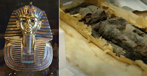 Mummies King Tut Of Egypt