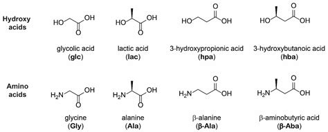 Amino Acid Dehydration Synthesis