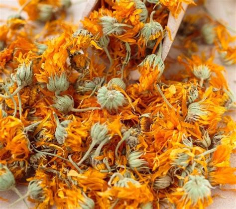 Dried CALENDULA FLOWER PETALS Premium 1-10Cups 1 2 3 4 5 6 7 | Etsy