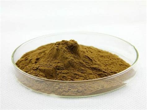 Bacopa Monnieri Extract Powder, Natural Herbal Powder & Extract ...