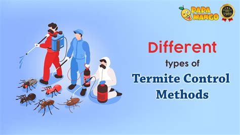 Different types of termite control methods-Services in Ghaziabad