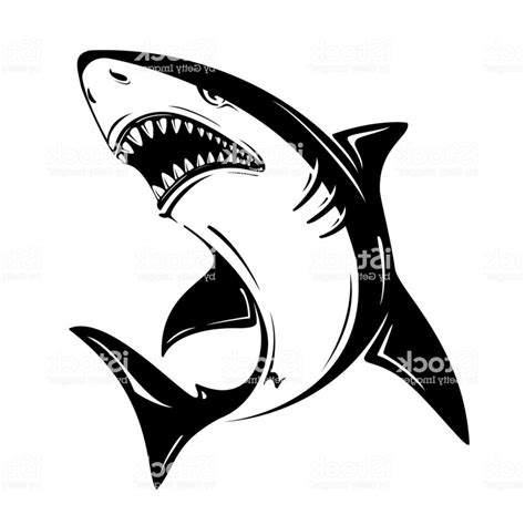 Great White Shark Vector at Vectorified.com | Collection of Great White ...