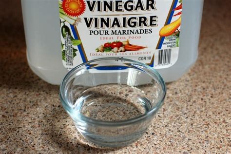 Is Spirit Vinegar the Same as White Vinegar?