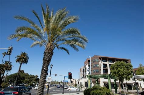 12 Fun and Best Things to Do in Vista, California - VCP Travel