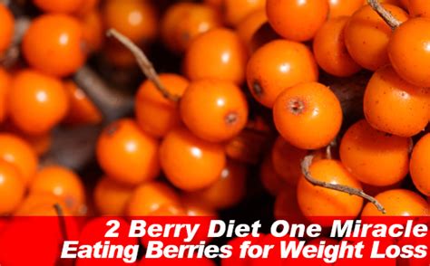 2 Berry Diet One Miracle: Eating Berries for Weight Loss | Slism