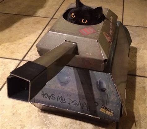 Behold, Cattank the american cat that massacres cat-girl simps : r/Bossfight