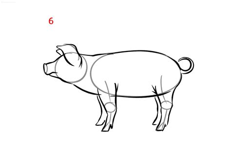 Pig Drawing Ideas How to draw a Pig Step by Step