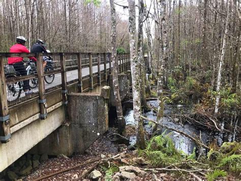 Van Fleet Trail: 29 miles of beauty by bike near Orlando