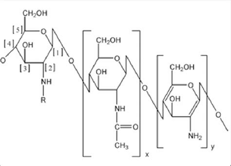 Chitosan chemical structure. | Download Scientific Diagram