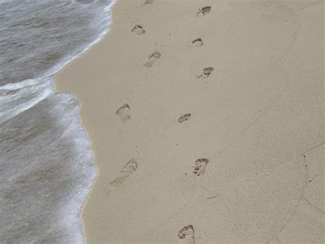 Premium Photo | Footprints in the sand on the beach are in the sand.