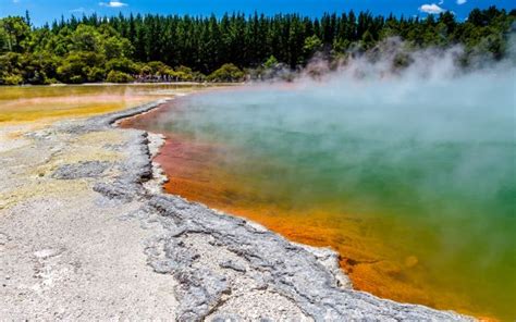 Eco Tour In Rotorua Waimangu Volcanic Valley And Whirinaki Rainforest