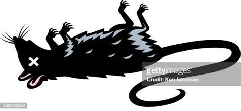 Rat Photos and Premium High Res Pictures - Getty Images