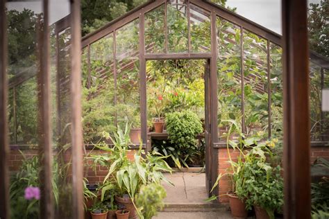 Propagation Glasshouse & Seed Cleaners Tour - Chelsea Physic Garden