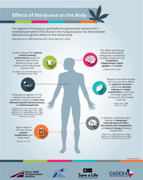 Effects of Marijuana on the Body – Texas Impaired Driving Task Force