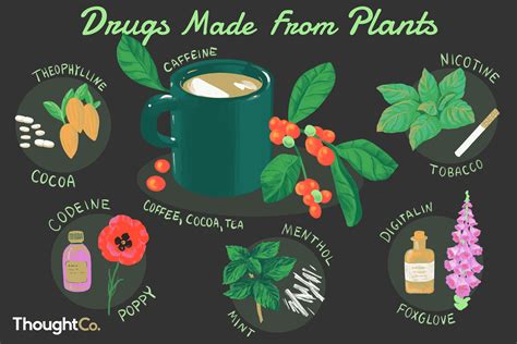 Drugs and Medicines Made From Plants