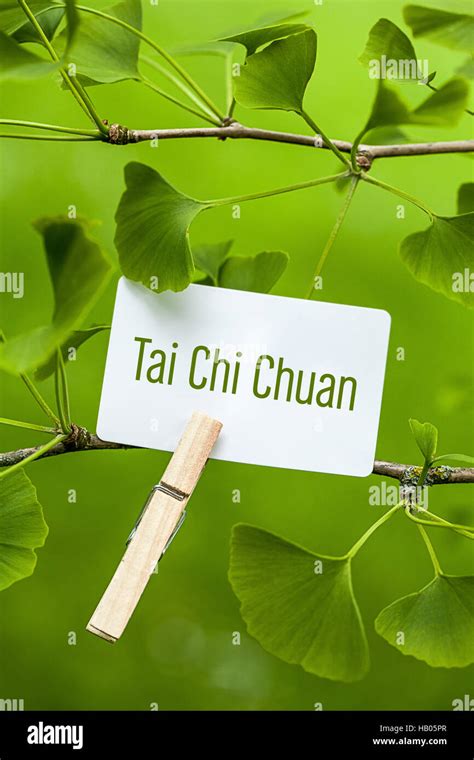 Tai Chi Chuan Stock Photo - Alamy