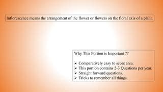 Inflorescence Types,cymose and racemose types,examples with Diagrams | PPT