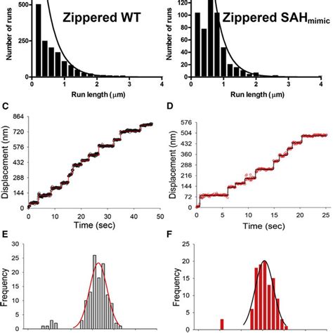 Run Lengths and Step Sizes of Leucine Zipper-Dimerized Wild-Type and ...