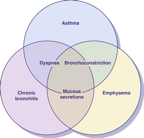 Lower Respiratory Disorders | Basicmedical Key