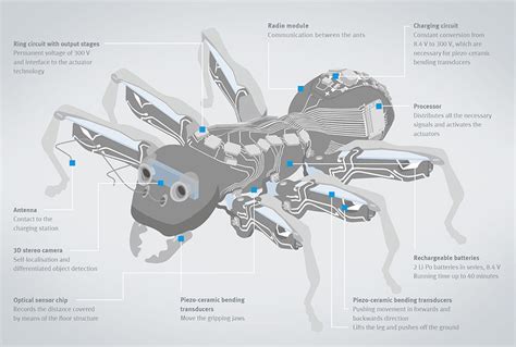 Designing robots with bugs?? | Robohub