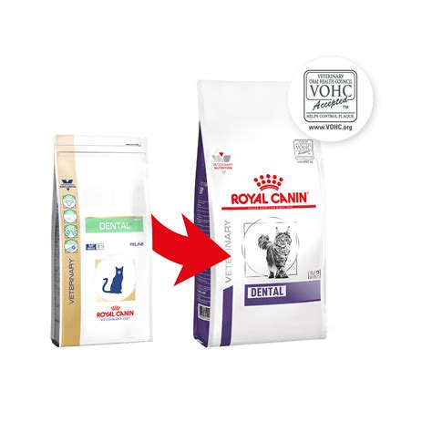 Royal Canin Dental Cat | Cat Food | Order Online