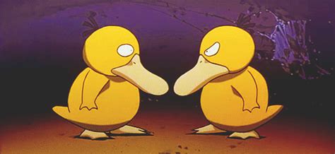 Pokemon Gif, Cute Pokemon, Pokemon Universe, Psyduck, Zelda Art, Catch ...