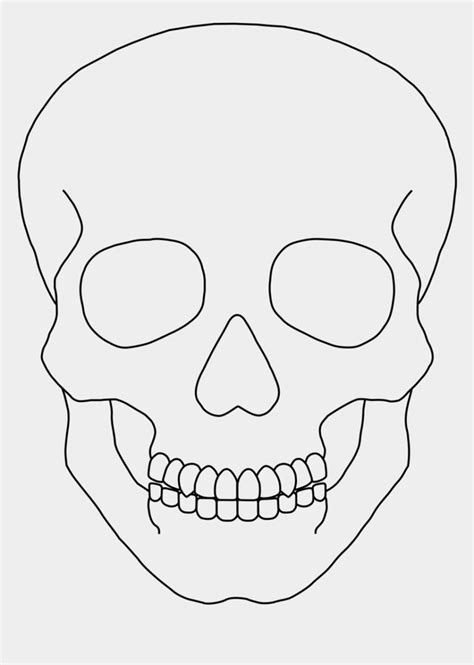 Skull Outline Clip Art - Simple Human Skull Drawing is popular png clipart & cartoon images ...